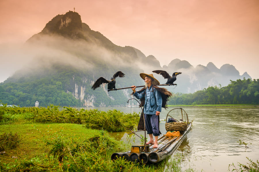 Hombre con una barra sosteniendo aves con las alas abiertas sobre una balsa en un río, de fondo unas montañas con neblina en Yangshuo China